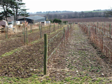 Farm in Winter