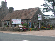 Farm Shop