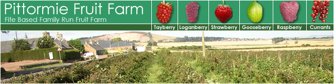 Pittormie Fruit Farm